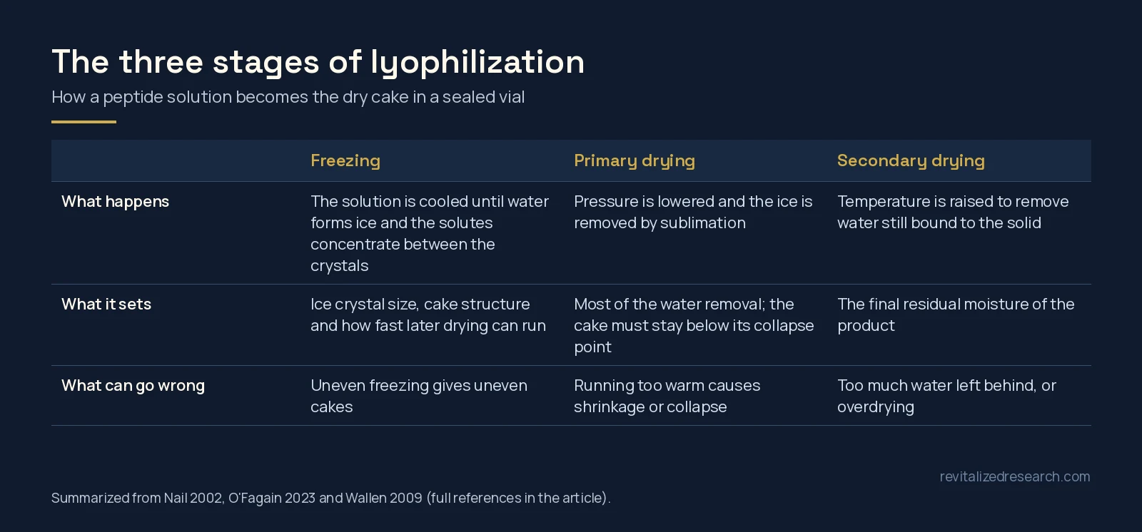 Table of the three stages of peptide lyophilization: freezing, primary drying and secondary drying, with what each sets and what can go wrong
