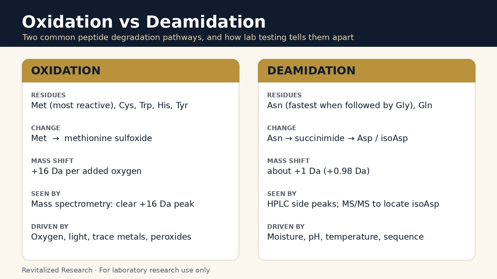 Comparison chart of peptide oxidation and deamidation: residues, mass shift and detection methods