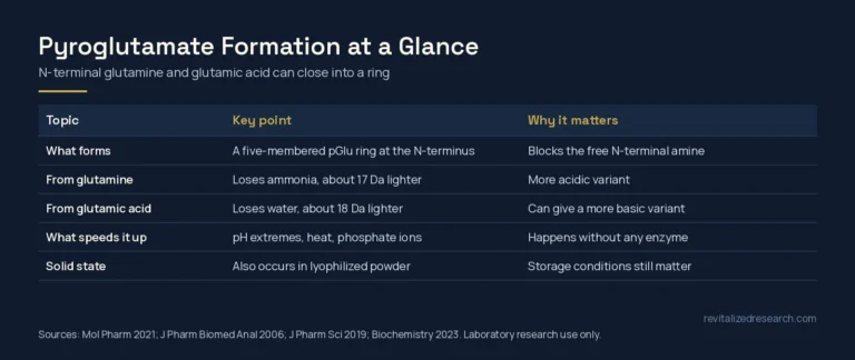 Table summarizing pyroglutamate formation in peptides: what forms, mass changes from glutamine and glutamic acid, what speeds it up and the solid state